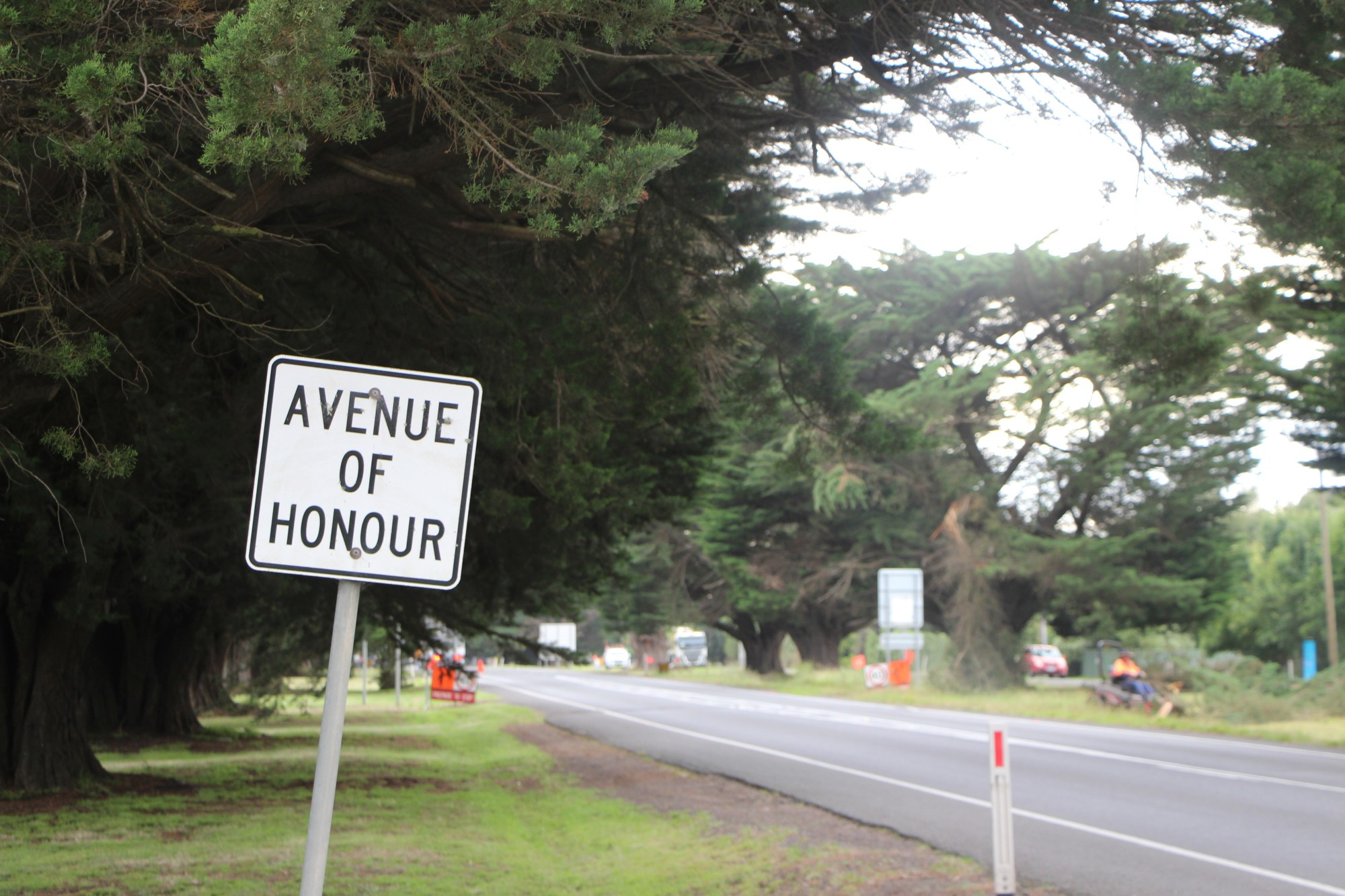 Avenue of Honour: Moyne Shire Council has resolved to replace trees in Mortlake’s Avenue of Honour at an overall cost of $450,000.