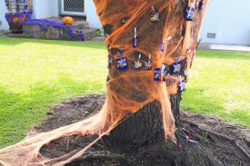 Trick-or-treaters who dared were able to grab some treats from a spider’s web.