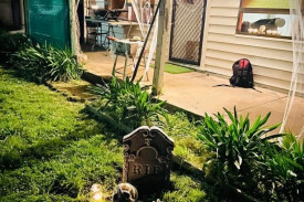 A record number of homes participated in the Mortlake Halloween Trail, with 19 homes handing out candy to trick-or-treaters. 