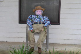 A Townsend Street scarecrow looked perhaps a little too real. 