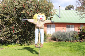 Heard Street scarecrow. 