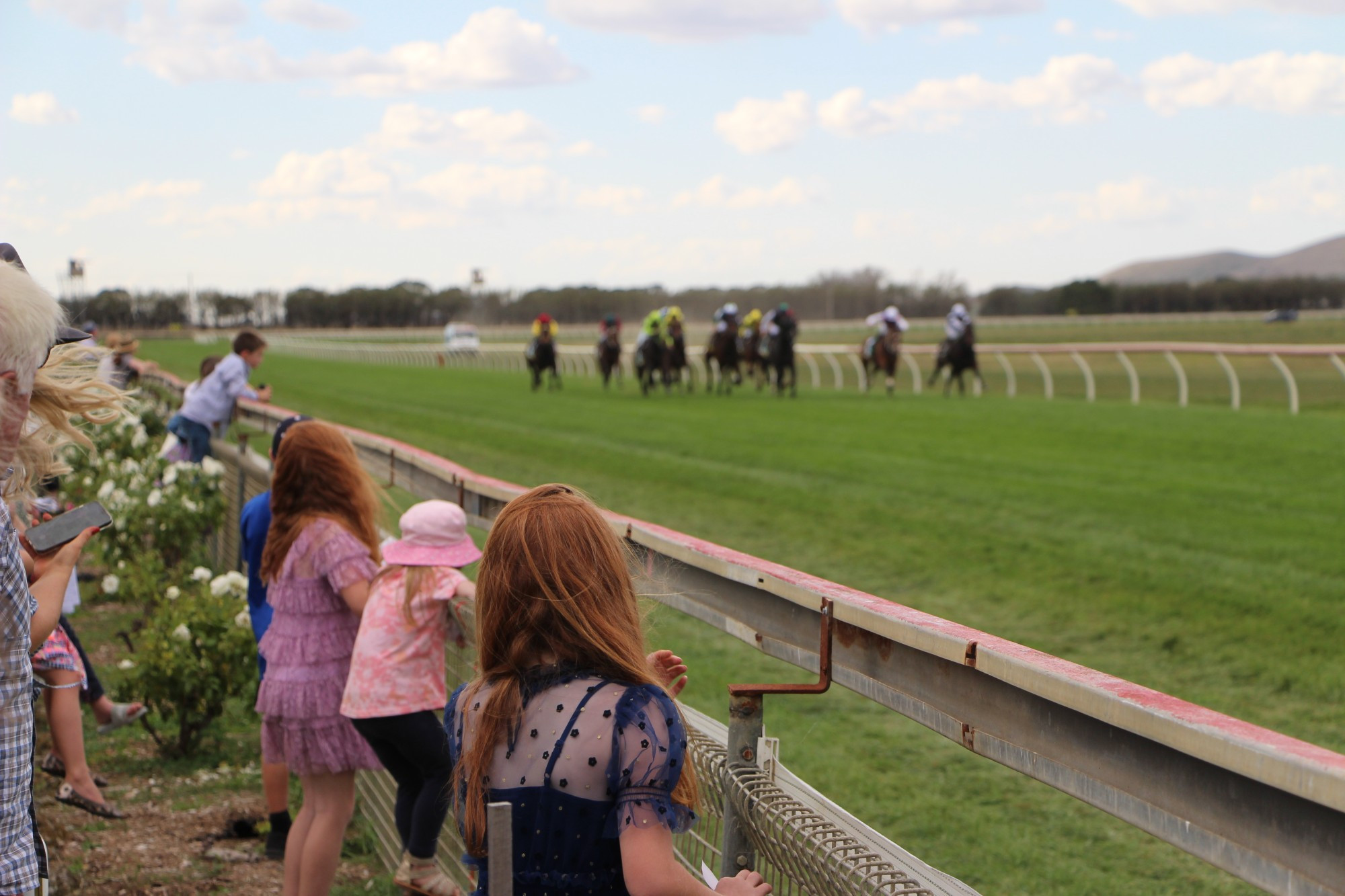 Bring it home: Racegoers were eager to see the action as the horses thundered over the line.