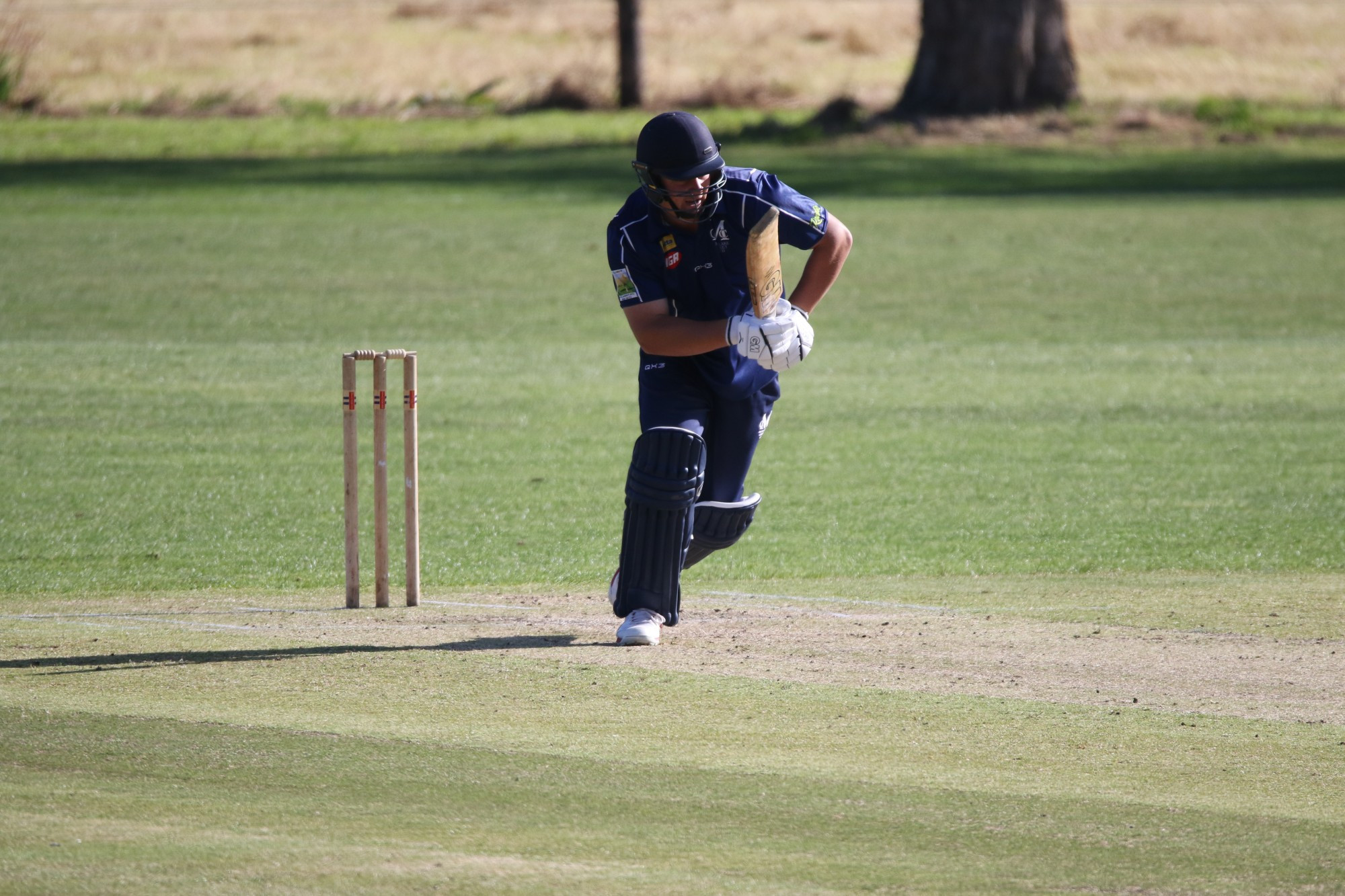 Young gun: Jack Lehmann’s knock of 70 couldn’t get Mortlake over the line.