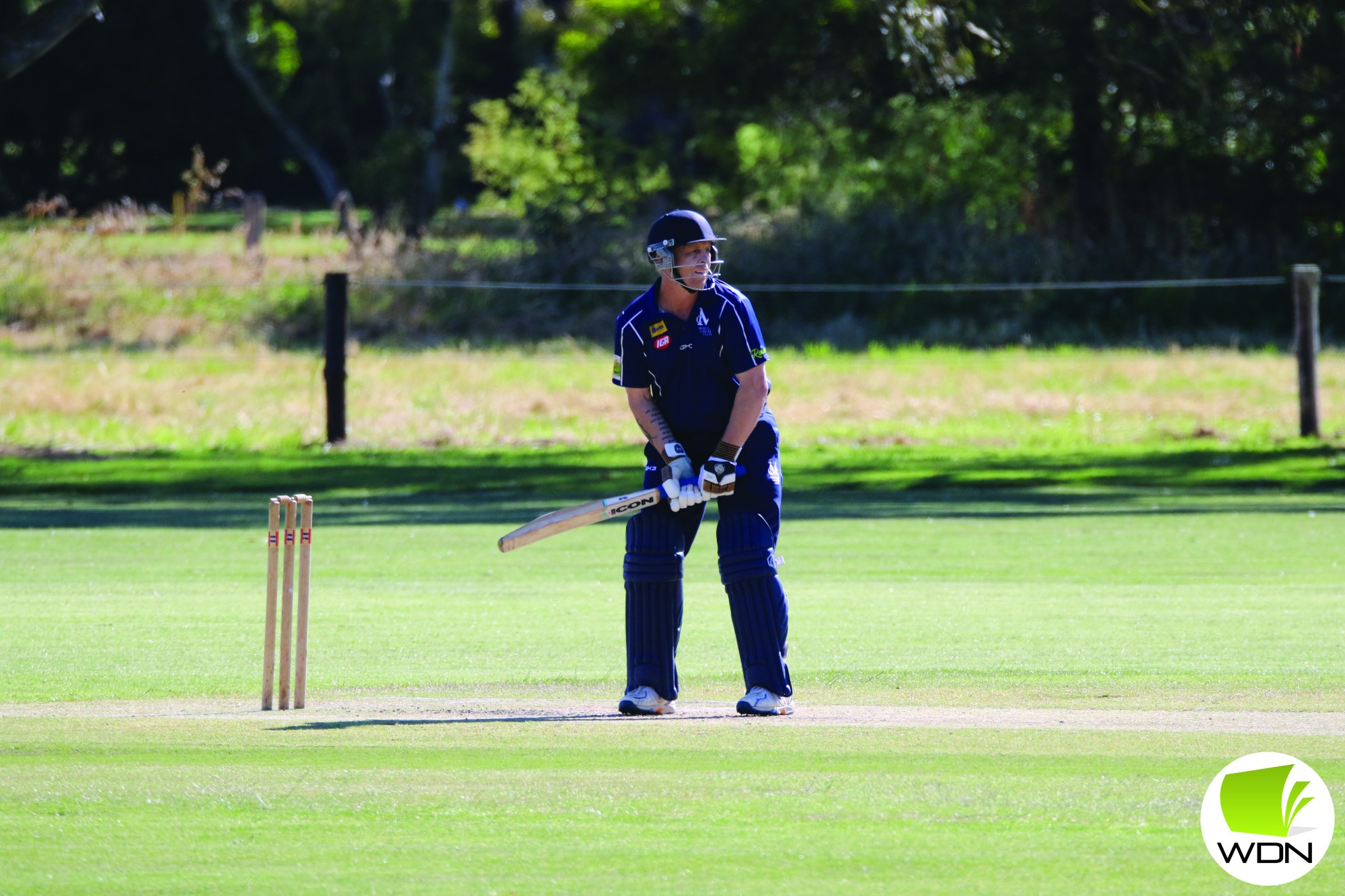 Neil Kelly’s knock of 18 was among the best for the Cats in division two last weekend.