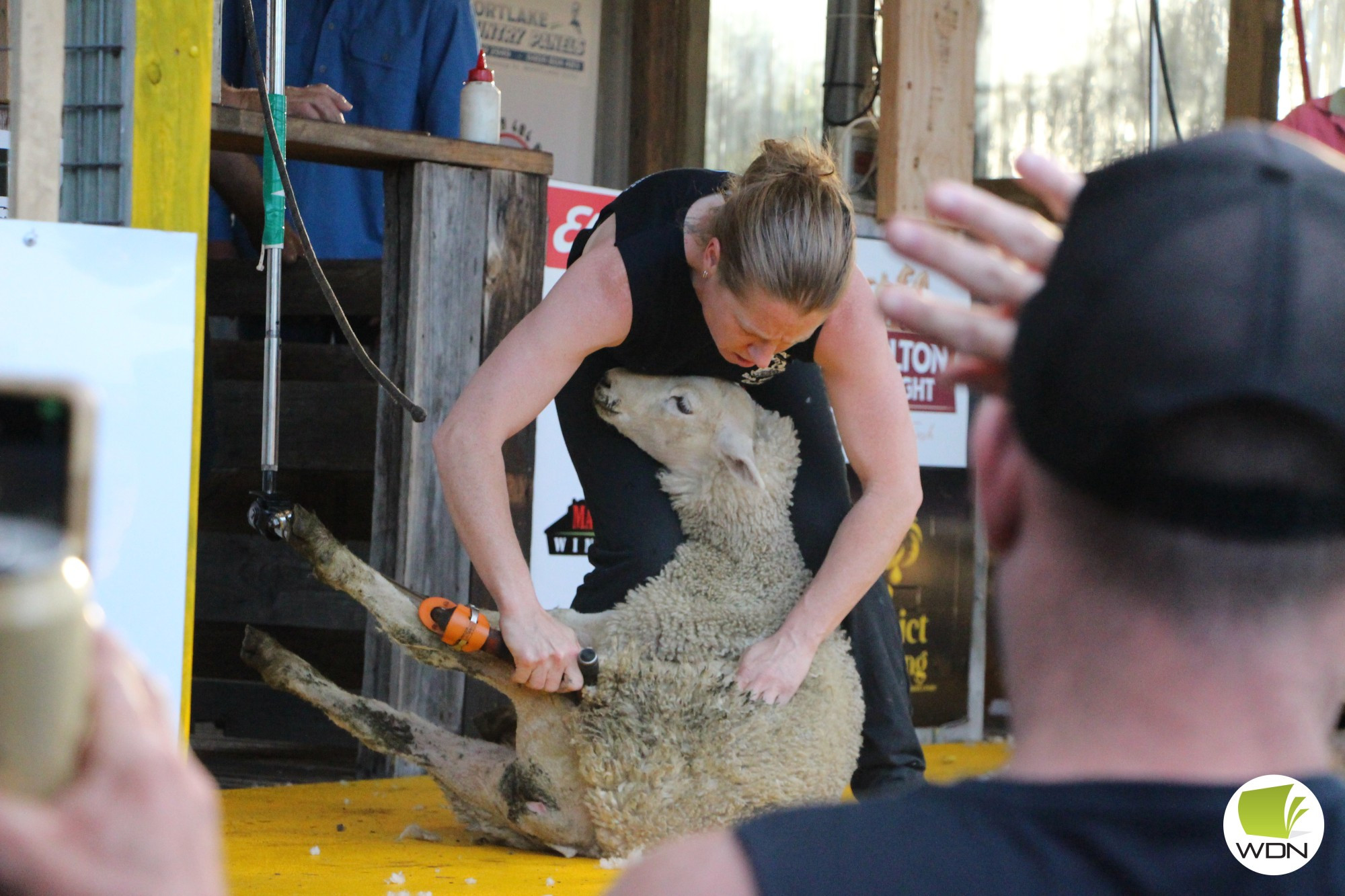 They’re back: The 2022 Mortlake Quick Shear drew in 12 female competitors in its return.