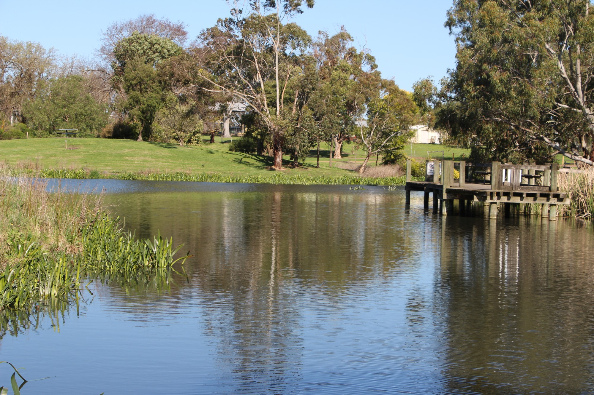 Hook, line and sinker: Tea Tree Lake has been restocked with 300 Rainbow Trout just in time for school holidays.