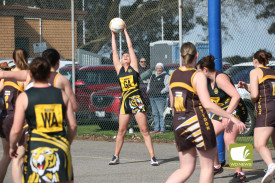 z9Utectk9kvuIKdsB3Cl.JPG