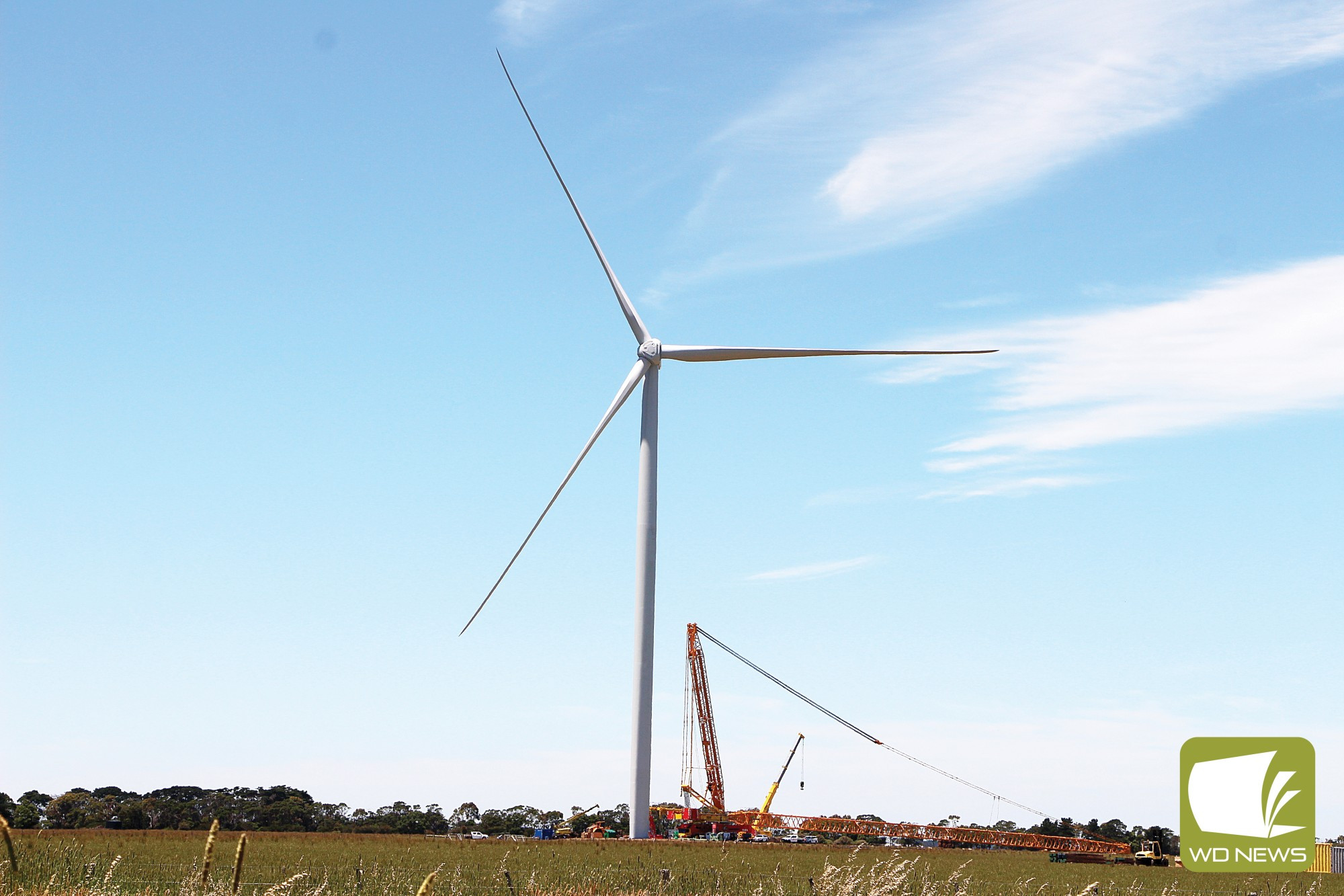 Decision deferred: Moyne Shire councillors voted to delay a decision on the minimum standard of investment wind farm companies operating in the area will be asked to give.