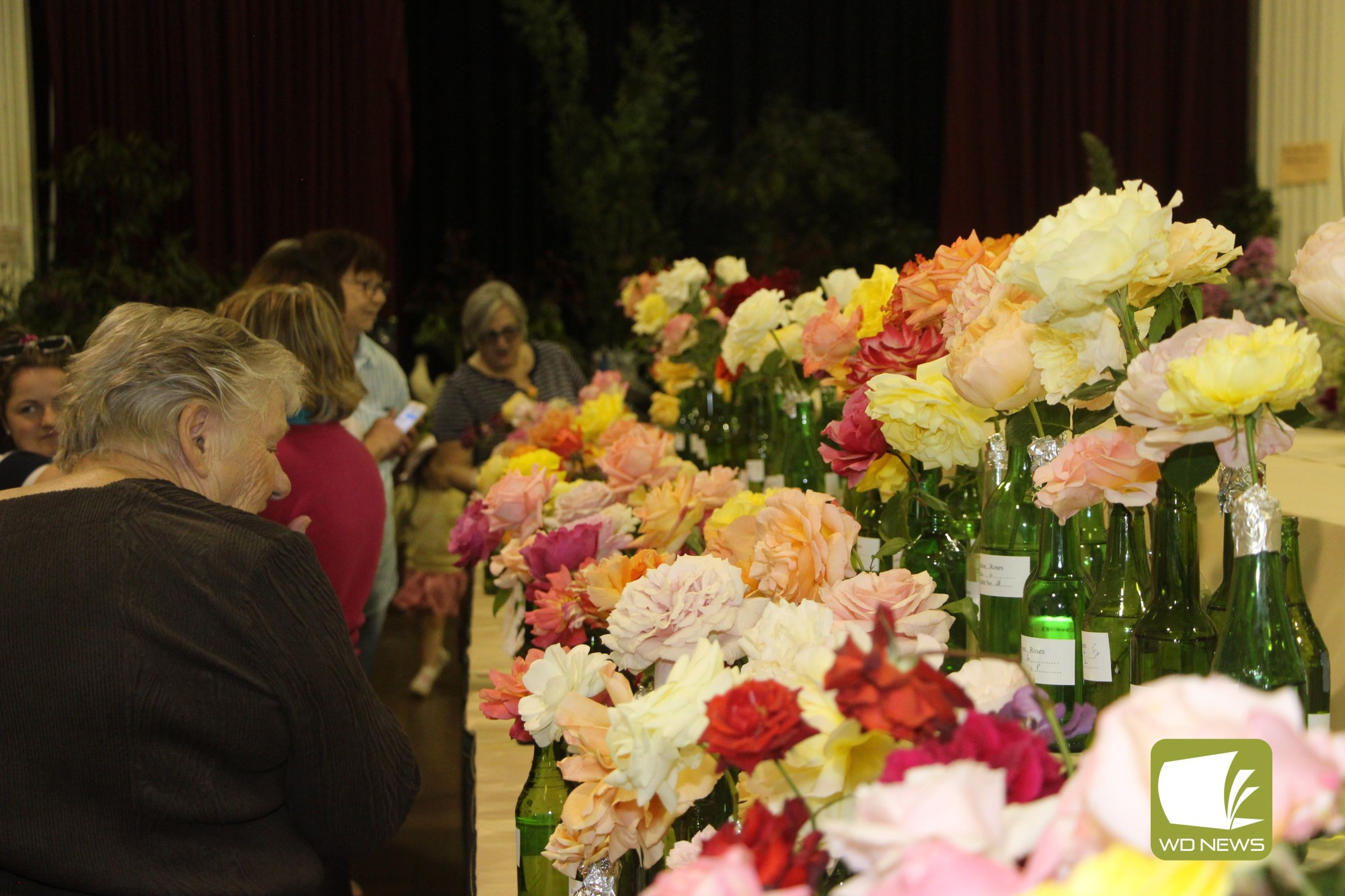 Colourful: Hundreds of roses captivated those in attendance at the 125th Mortlake Rose Show over the weekend.