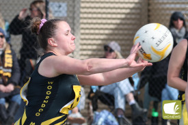 b-grade-netball-2-1726631457.jpg