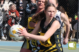 b-grade-netball-6-1726631476.jpg