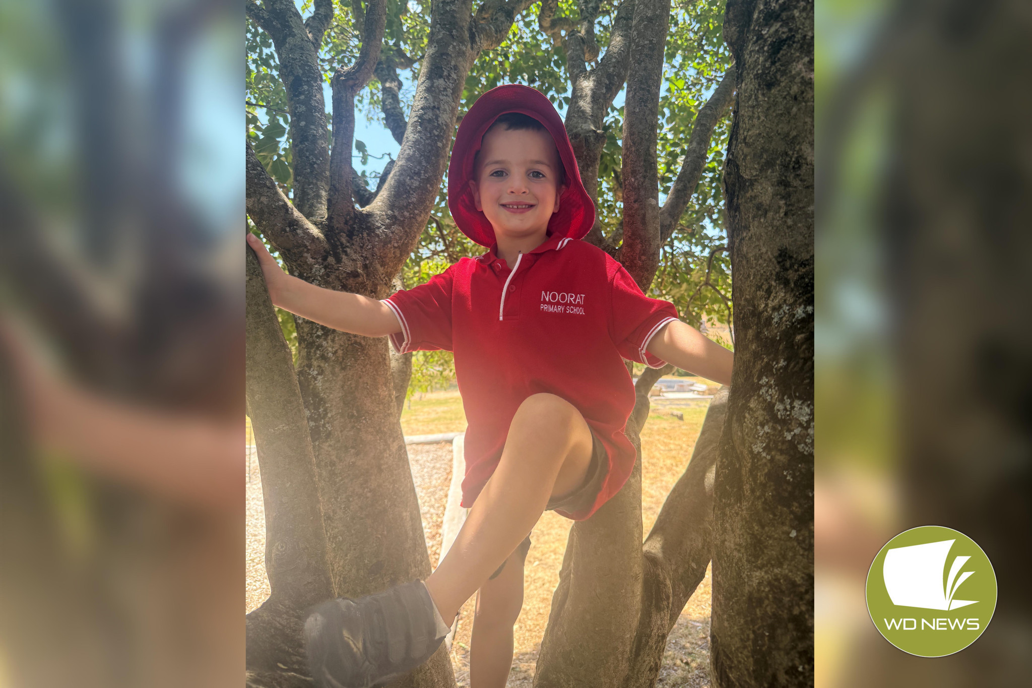 Noorat Primary School welcomed Billy to their school.