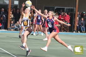 c-grade-netball-14.jpg