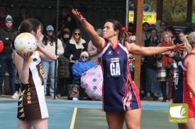 c-grade-netball-15.jpg