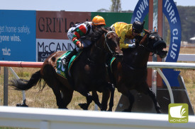 Terang-based Nizhoni races across the line ahead of King Czar to secure her first victory at the Camperdown Cup.