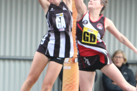 camperdown-netball-11.jpg