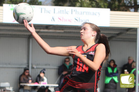 cobden-netball-15.jpg