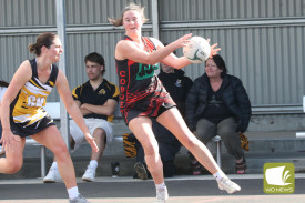 cobden-netball-2-1728357545.jpg