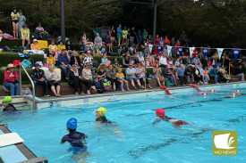 cobden-primary-swim-4.jpg