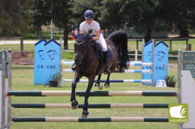 crc-showjumping-2.jpg