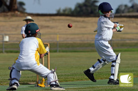 derri-junior-cricket-2.jpg