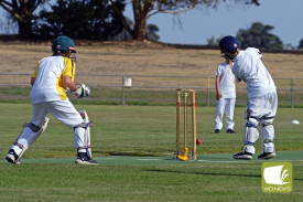 derri-junior-cricket-4.jpg