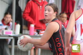 div-1-netball-1.jpg