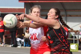 div-1-netball-5.jpg