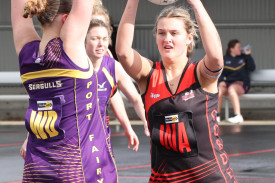 div-2-netball-2.jpg