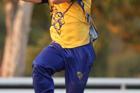 ecklin-v-cobden-4.jpg