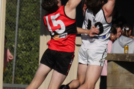 footy—-camperdown-v-cobden-15.jpg