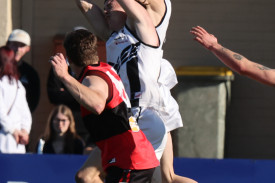 footy—-camperdown-v-cobden-18.jpg