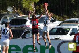 footy—-camperdown-v-cobden-19.jpg