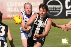footy—-camperdown-v-hamilton-1.jpg