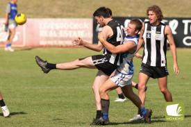 footy—-camperdown-v-hamilton-2.jpg