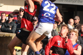 footy—-cobden-v-terang-mortlake-10.jpg