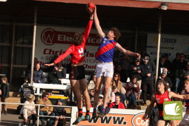 footy—-cobden-v-terang-mortlake-9.jpg