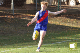 footy—-hamilton-v-terang-mortlake-1.jpg