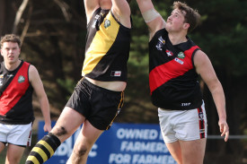 footy—-simpson-v-someone-10.jpg