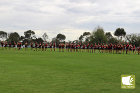 footy—-terang-mortlake-v-cobden-7.jpg