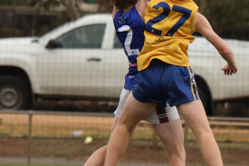 footy-1-1714528640.jpg