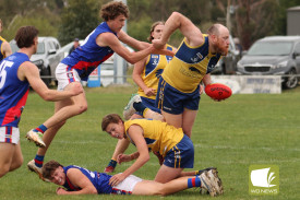 footy-10-1714528681.jpg