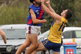 footy-11-1714528686.jpg