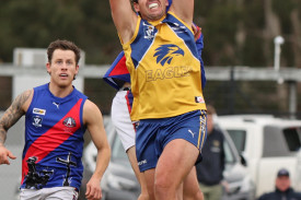 footy-16-1714528707.jpg