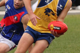 footy-17-1714528712.jpg