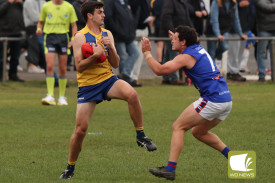 footy-18-1714528716.jpg