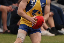 footy-2-1714528645.jpg