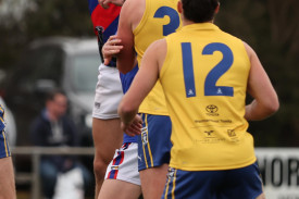 footy-22-1714528733.jpg