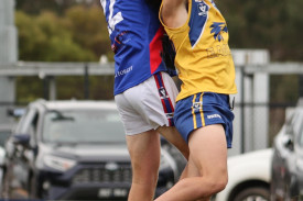 footy-33-1714528777.jpg
