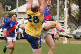 footy-36-1714528790.jpg